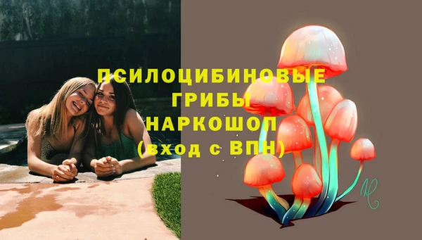 spice Магадан