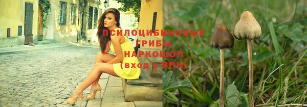 альфа пвп Магас